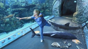 Aquarium of the Dead