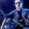 Deze verpletterende hobby van Arnold Schwarzenegger is misschien de meest bizarre in Hollywood