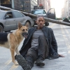 I Am Legend