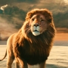 Netflix maakt films en series rond 'The Chronicles of Narnia'