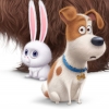 Start 'The Secret Life of Pets' succesvolste voor een originele animatiefilm