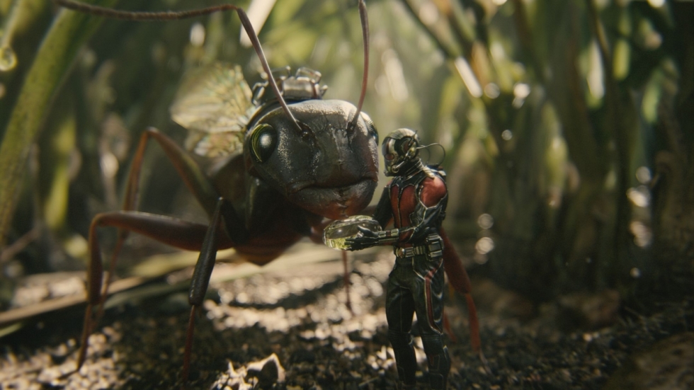 Peyton Reed ontving 'Ant-Man'-klachten van moeders