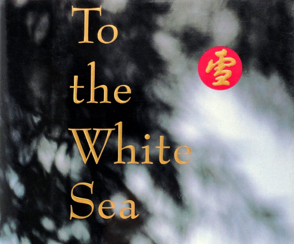 Warner Bros. schenkt boekverfilming 'To the White Sea' een 2e kans