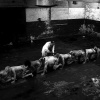 Onsmakelijke trailer 'The Human Centipede 3 (Final Sequence)'
