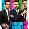 Blu-Ray Review: Horrible Bosses 2