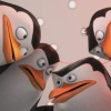 Blu-Ray Review: Penguins of Madagascar