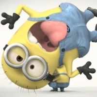 2013 redelijk jaar voor Nederlandse box office