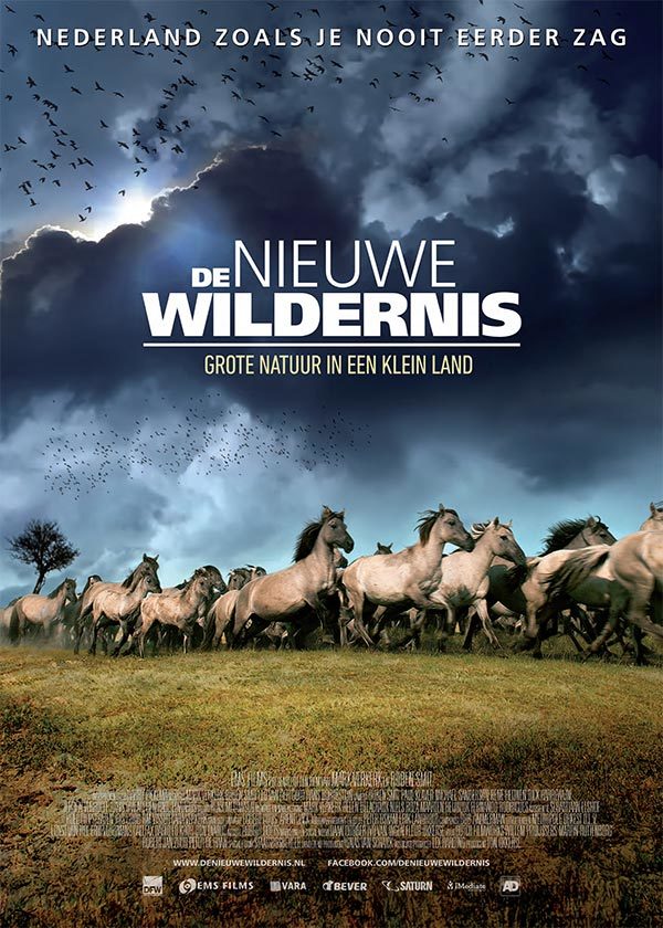 'De Nieuwe Wildernis' heeft mooiste filmposter van 2013