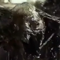 Vreemde trailer 'Odd Thomas'