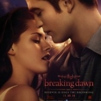 'Twilight: Breaking Dawn - Part 1' meest nagemaakte DVD in kerstperiode