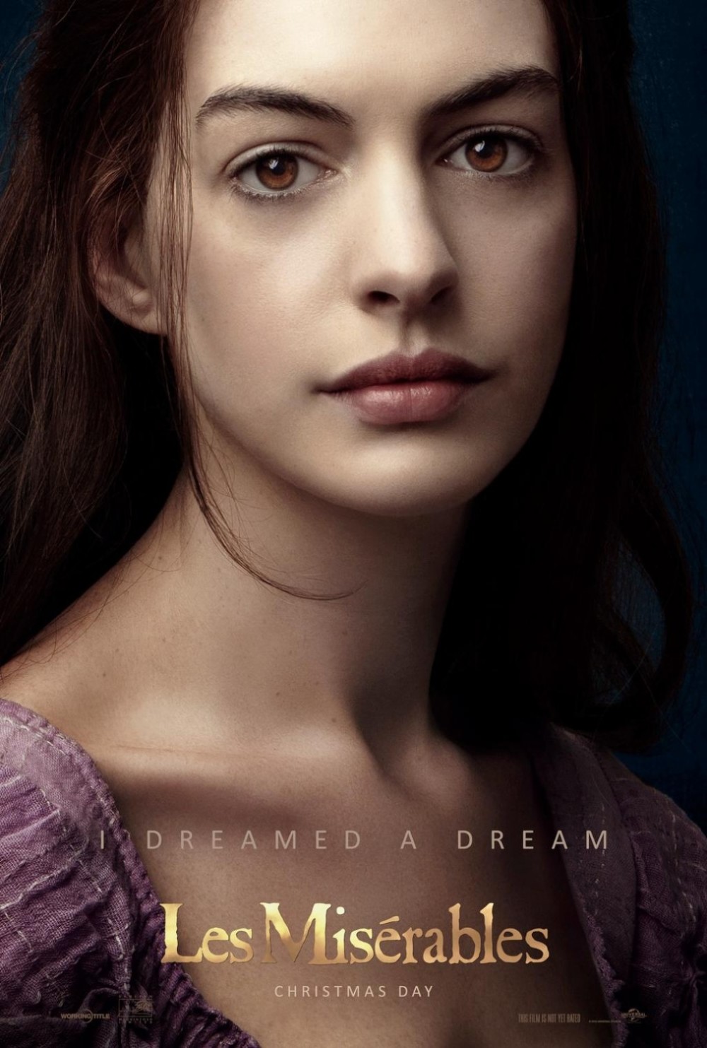 Anne Hathaway & Amanda Seyfried op posters 'Les Misérables'