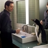 Nieuwe trailer 'Mr. Popper's Penguins' met Jim Carrey