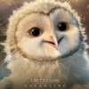 Blu-Ray Review: Legend of the Guardians: The Owls of Ga'Hoole