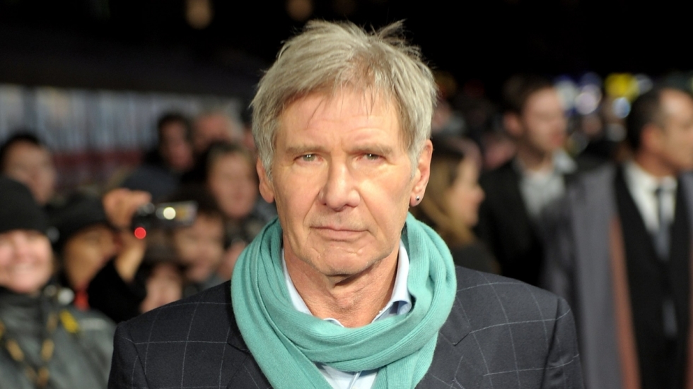Harrison Ford had enkele dagen een strafblad