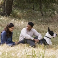 Seven Pounds