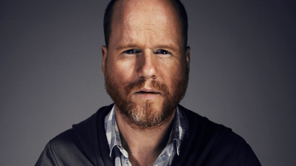 Joss Whedon over commentaar op 'Age of Ultron'