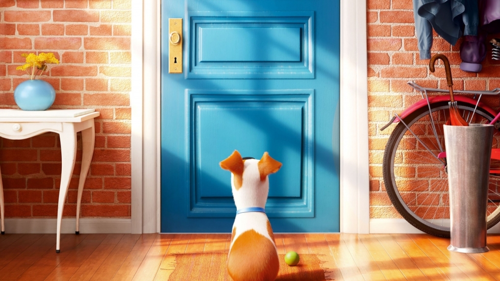 Start 'The Secret Life of Pets' succesvolste voor een originele animatiefilm