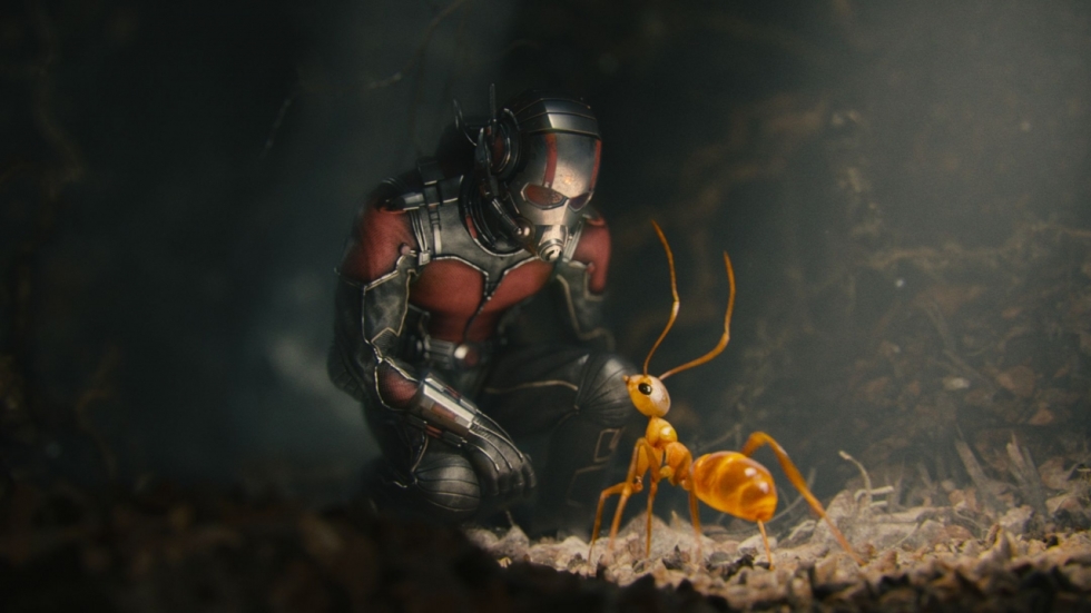 Paul Rudd over 'Ant-Man and the Wasp'