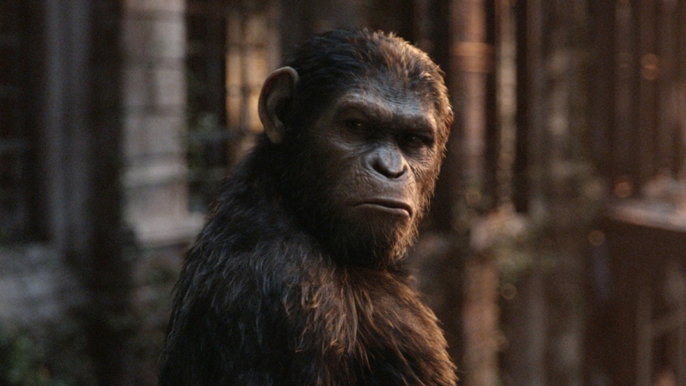 Officiële synopsis voor 'War for the Planet of the Apes'