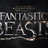 'Fantastic Beasts'-acteur Dan Fogler uitgebreid over vertrek Johnny Depp