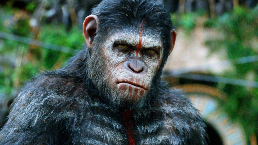 Personage uit 'Apes'-franchise in 'War for the Planet of the Apes'