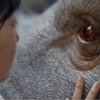 Derde trailer Netflix-film 'Okja'