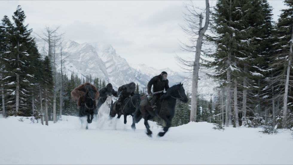 Alles over 'War for the Planet of the Apes'