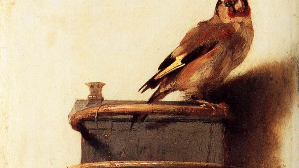 Opnames 'The Goldfinch' eindelijk begonnen