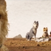 Blu-ray review 'Isle of Dogs' - Weer een werkelijk prachtige Wes Anderson!