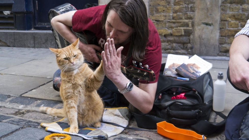 Kat redt leven man in trailer 'A Street Cat Named Bob'