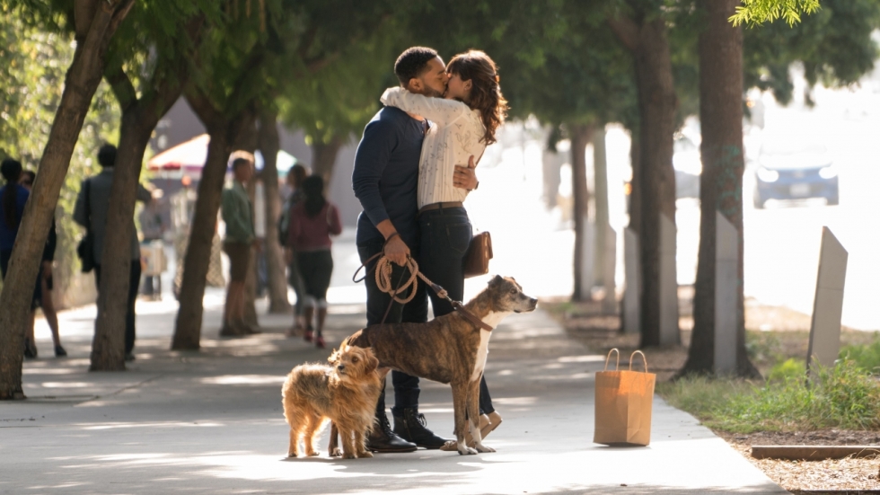 Puppy's, honden en liefde in volledige trailer 'Dog Days'