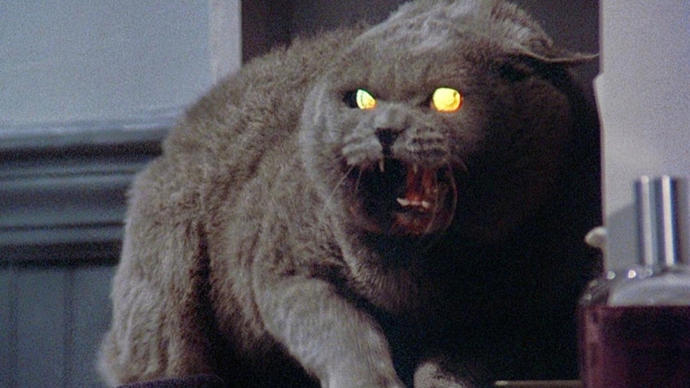 Opnames Stephen King-film 'Pet Sematary' officieel van start!