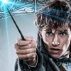 'Fantastic Beasts 2' zorgt voor plotgat in 'Harry Potter'-films