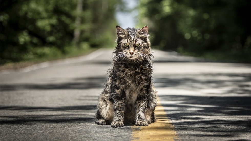 Pet Sematary