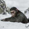 Nieuwe 'Planet of the Apes'-film toch geen reboot maar een vervolg!