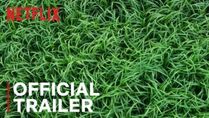 In the Tall Grass (2019) video/trailer