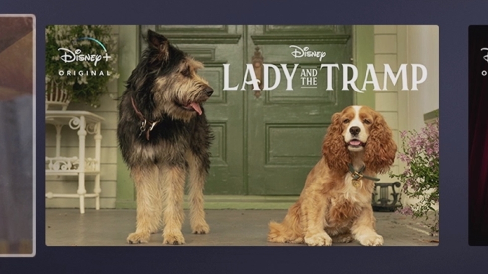 Eerste foto's 'Lady and the Tramp'-remake! Gaat dat net zo succesvol worden als 'The Lion King'?