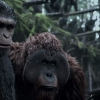 Nieuwe 'Planet of the Apes'-film toch geen reboot maar een vervolg!