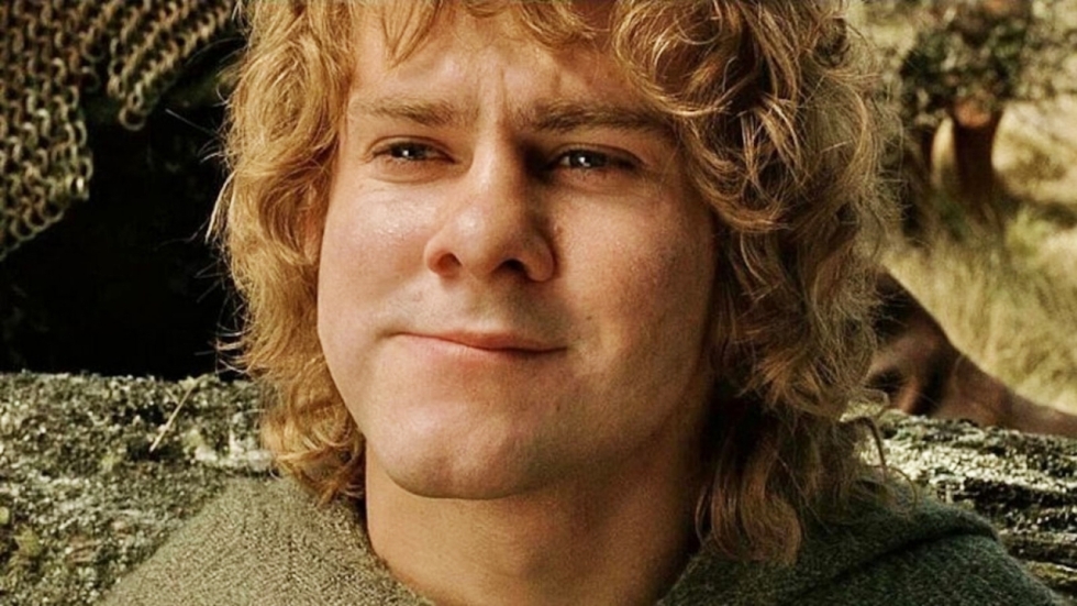 Lord of the Rings & Star Wars acteur vraagt om 'The Rise of Skywalker' director's cut