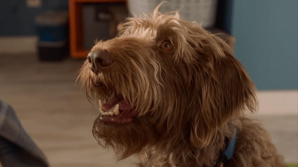 Bekijk Megan Fox van een heel andere kant in de trailer van 'Think Like a Dog'