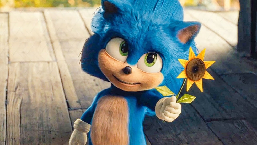 Zien: Nieuwe schattige beelden van baby Sonic!