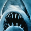 Richard Dreyfuss had weinig vertrouwen in Steven Spielbergs 'Jaws'