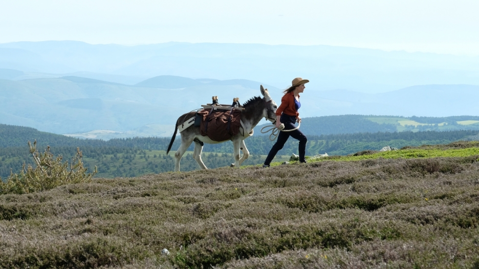 Antoinette Dans les Cévennes