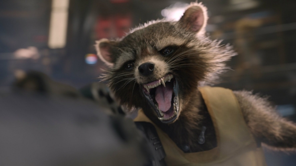 'Guardians of the Galaxy'-held Rocket Raccoon heeft een zeer tragisch oorsprongsverhaal