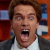 Befaamde gok van Arnold Schwarzenegger nu op Netflix: "te klef voor volwassenen"