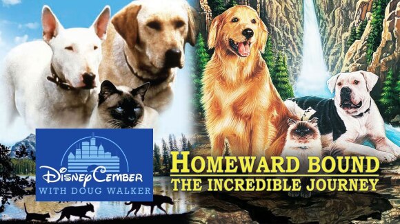 Channel Awesome - Homeward bound and the incredible journey - disneycember