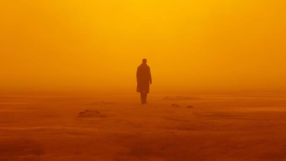 Legendarische cameraman Roger Deakins (Blade Runner 2049, 1917) is nu een ridder