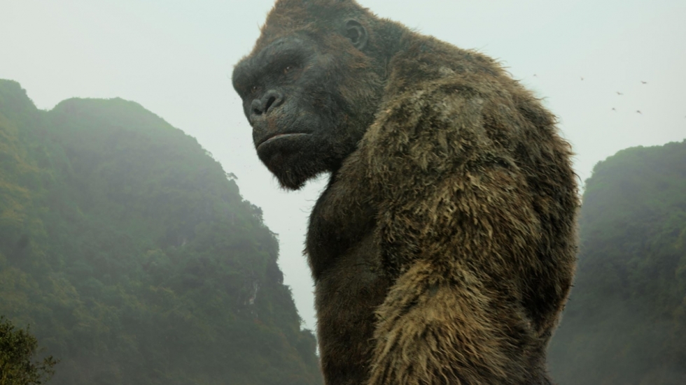 Pakkende 'Godzilla vs. Kong' commercial: meerdere King Kongs?