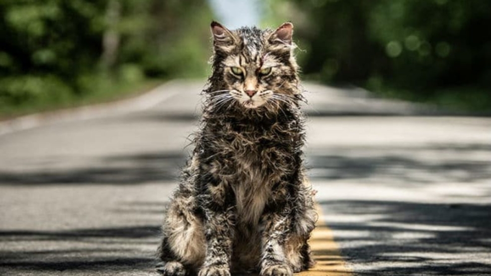 Nieuwe 'Pet Sematary'- en 'Paranormal Activity'-films komen naar Paramount+