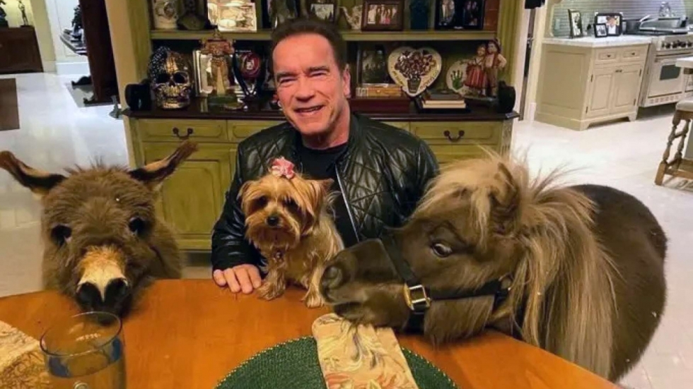 Je gelooft nooit wat voor huisdier Arnold Schwarzenegger heeft